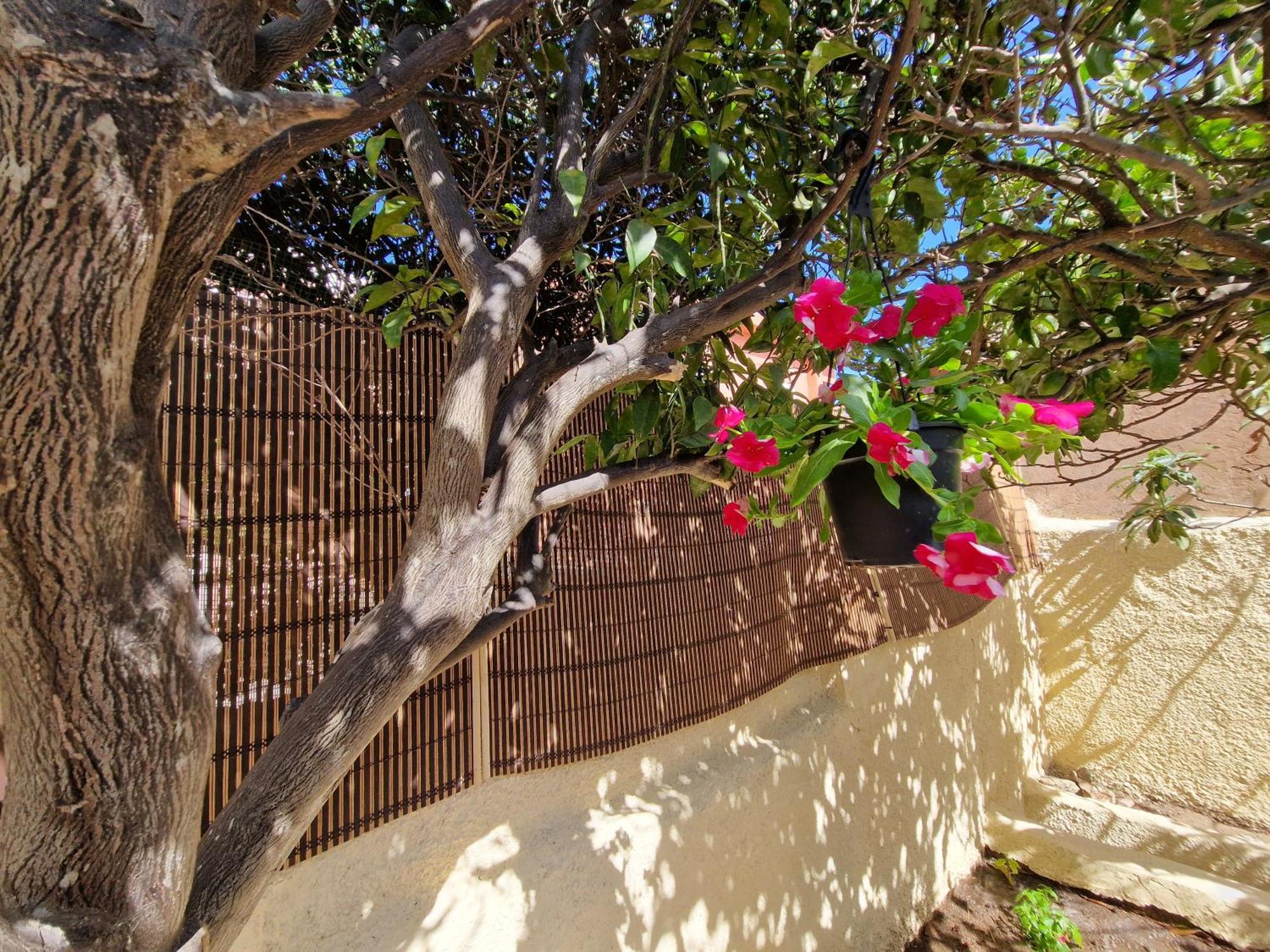 La Maddalena Holiday Home ภายนอก รูปภาพ